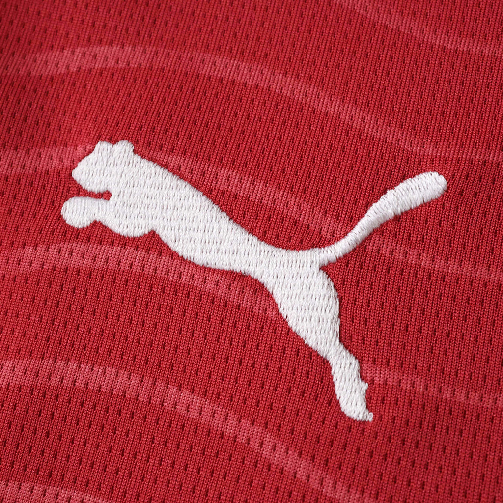 Portugal 2026 World Cup Home Shirt Elite Retro Kits