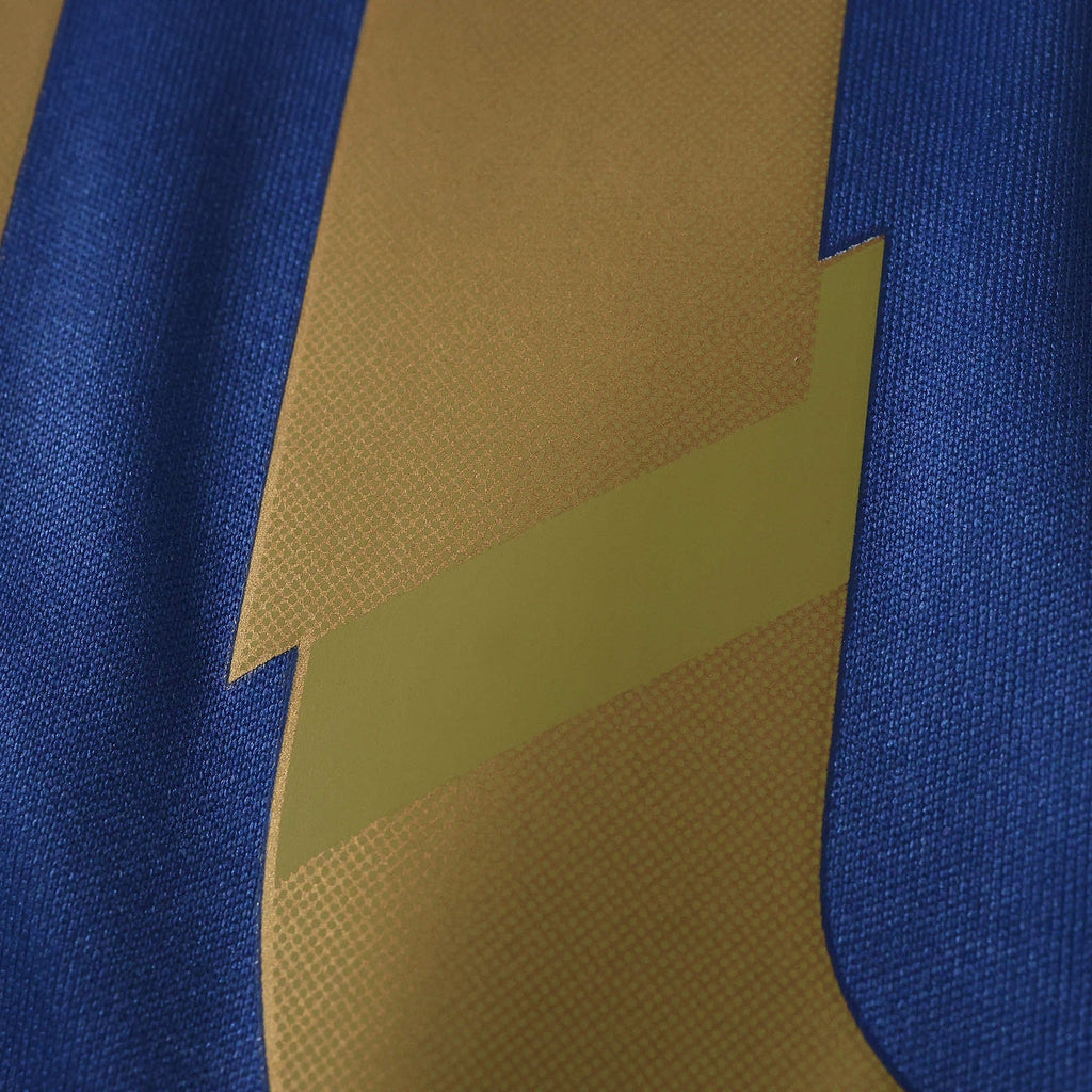 Elite Retro Kits Argentina 2014 away shirt detail showing blue tonal bands and gold accent on performance fabric