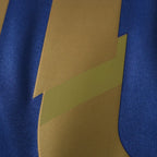 Elite Retro Kits Argentina 2014 away shirt detail showing blue tonal bands and gold accent on performance fabric