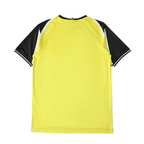 Back view of the Elite Retro Kits Borussia Dortmund 1995/96 home football shirt in vibrant yellow and black.