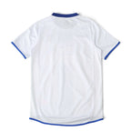 Elite Retro Kits Chelsea 2003/05 away football shirt, white with blue trim, back view on a green pitch background.