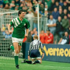 Elite Retro Kits Ireland 1992-94 home football shirt in green with white adidas shoulder stripes and Opel sponsor