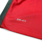 Elite Retro Kits Portugal 2016 home football shirt in red with green side detailing and Dri-Fit fabric technology
